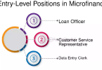 Job Opportunities for Credit Officers in Microfinance Banks in the UK/ Apply Here